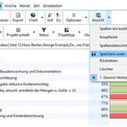 Screenshot der Projektzeiterfassung mit einem geöffneten Menü zum Speichern der eingestellten Ansicht.