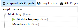 Projektstruktur mit laufendem Projekt